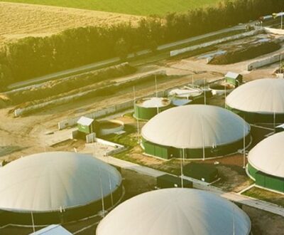 TruAlt Bioenergy IPO Day Three: Check GMP, Subscription Status, Other Details